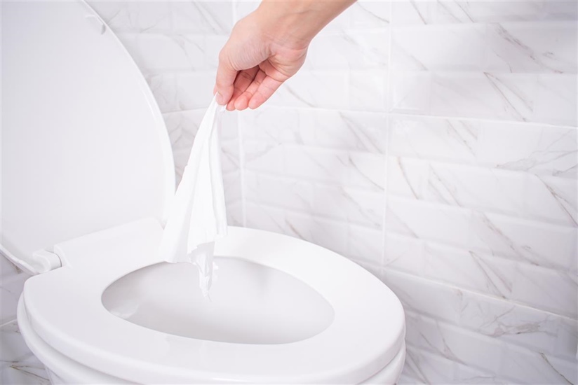 Are Flushable Wipes ACTUALLY Flushable?