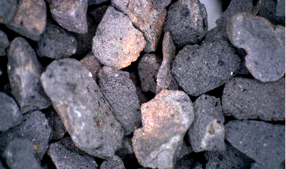 Macro shot of treatment media